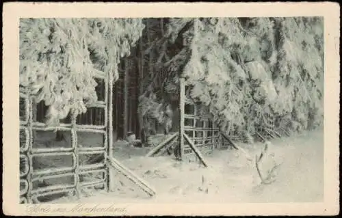 Ansichtskarte Torfhaus (Harz)-Altenau HOTEL WENDT (Brockenkrug) 1928