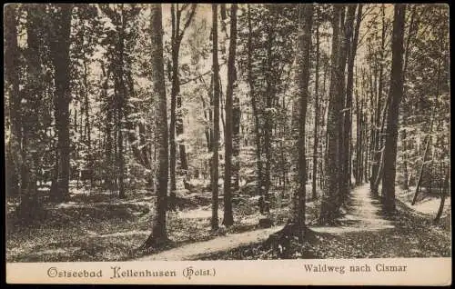 Ansichtskarte Kellenhusen (Ostsee) Umlandansicht Waldweg nach Cismar 1910