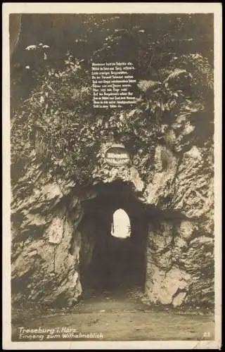 Ansichtskarte Treseburg Eingang zum Wilhelmsblick im Harz 1930