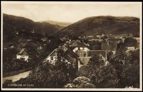 Ansichtskarte Ilsenburg (Harz) Panorama-Ansicht; Ort im Harz 1929