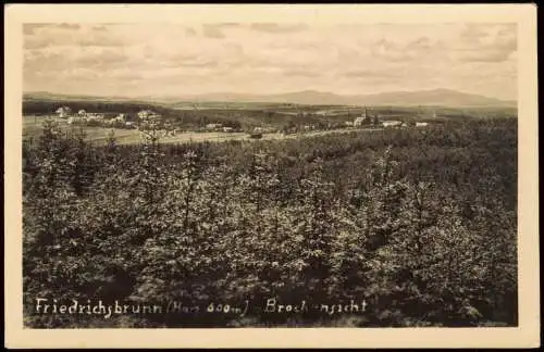 Ansichtskarte Friedrichsbrunn Panorama-Ansicht Brockensicht 1950