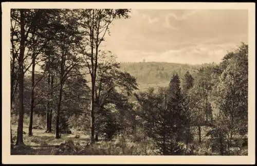 Auerberg-Stolberg (Harz) Panorama-Ansicht Harz Blick zur Josephshöhe 1959