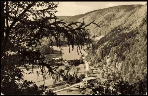 Ilfeld-Harztor Umland-Ansicht Blick Kaltes Tal mit Netzkater zur DDR-Zeit 1965