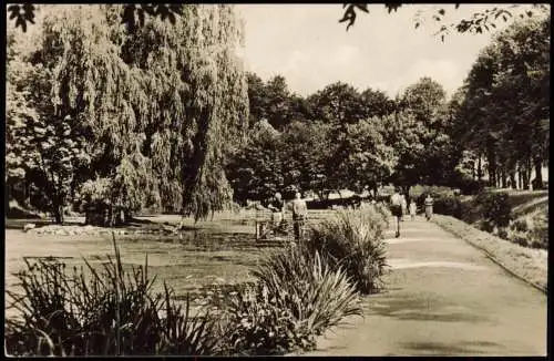 Ansichtskarte Zeitz Stadtteilansicht Schwanenteich zur DDR-Zeit 1958