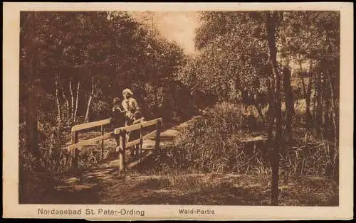 Ansichtskarte St. Peter-Ording Wald-Partie 1924