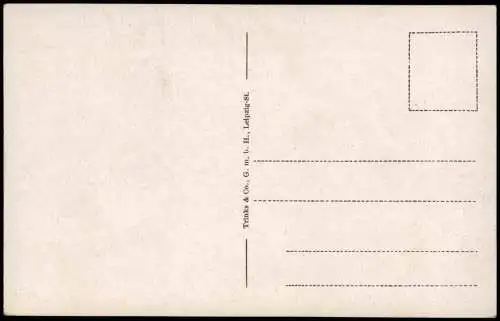 Ansichtskarte Frankfurt am Main Palmengarten Blumenparterre 1914