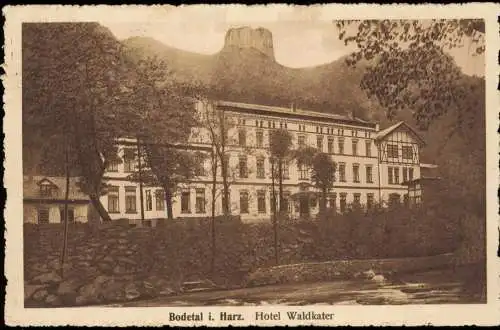 Ansichtskarte Thale (Harz) Bodetal Harz Hotel Waldkater 1926