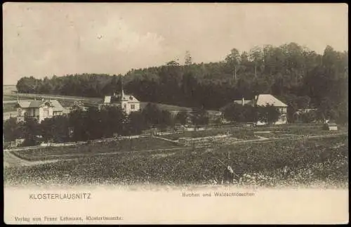 Ansichtskarte Bad Klosterlausnitz Buchen und Waldschlösschen 1907