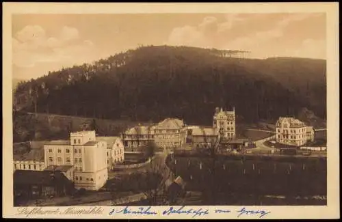 Ansichtskarte Neumühle (Elster) Stadtpartie 1922