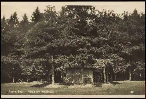 Ansichtskarte Auma (Thüringen)-Auma-Weidatal Partie am Waldhaus 1932