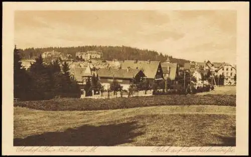 Ansichtskarte Oberhof (Thüringen) Blick auf Tambacherstraße. 1928