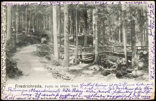 Ansichtskarte Friedrichroda Partie im kühlen Thal 1904