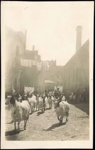 Cartoline Taormina Straße Ziegenherde Typen 1928 Sicilia Sizilien