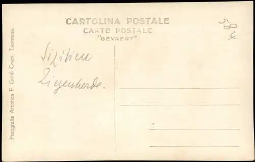 Cartoline Taormina Straße Ziegenherde Typen 1928 Sicilia Sizilien