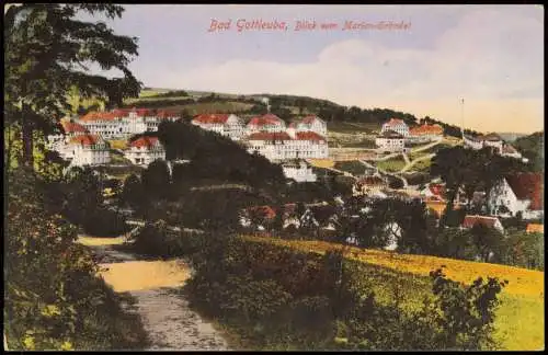 Bad Gottleuba Berggießhübel Panorama-Ansicht Blick vom Marien-Gründel 1918