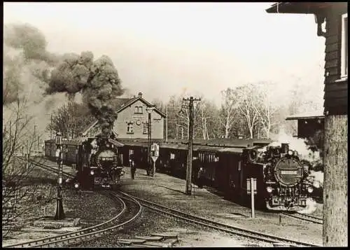 Bertsdorf-Hörnitz Schmalspurbahn Zittau-Oybin, Bahnhof Bertsdorf 1982