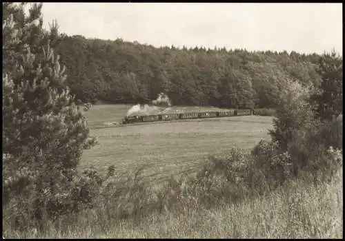 Schmalspurbahn Putbus - Göhren Personenzug  Seelvitz (Juni 1971) 1982