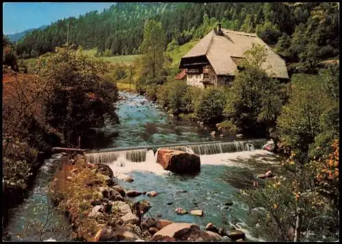 Ansichtskarte .Baden-Württemberg Schwarzwaldhaus Idyll an der Gutach 1980
