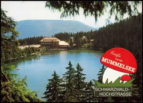 Ansichtskarte Achern MUMMELSEE SCHWARZWALD-HOCHSTRASSE 1975