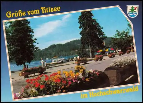 Ansichtskarte Titisee Grüße vom Titisee im südl. Hochschwarzwald 1980