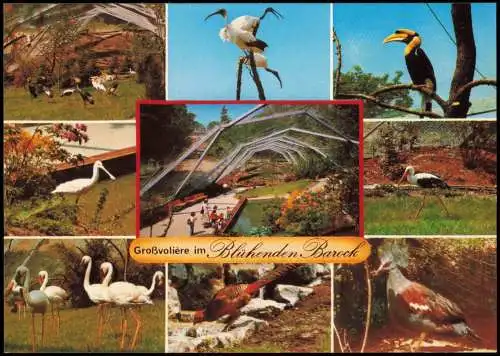 Ludwigsburg Mehrbild-AK Vögel Freiflugvolière im Blühenden Barock 1975