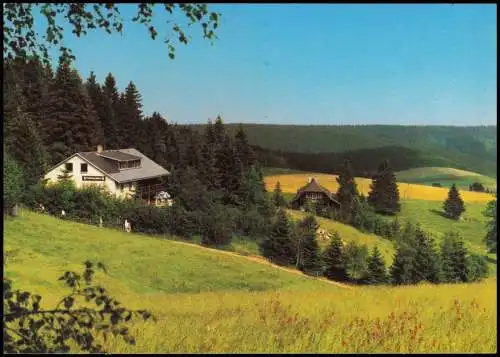 Furtwangen (Schwarzwald) Partie am Gasthof-Pension Kolmenhof 1975