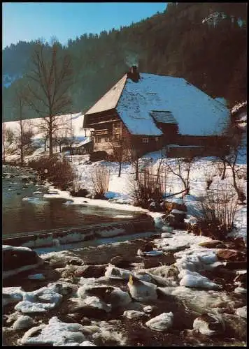 Baden-Württemberg Winterlicher Bauernhof  Gutach Schwarzwald Mittelgebirge 1980