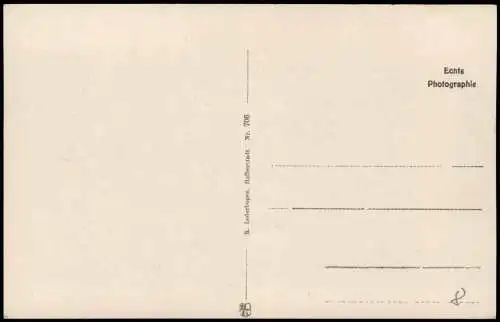 Ansichtskarte Ilsenburg (Harz) Brockenbahn Brocken Dampflok Eckerloch 1935