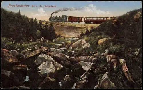 Ansichtskarte Ilsenburg (Harz) Brockenbahn, Harz. Im Eckerloch. 1914