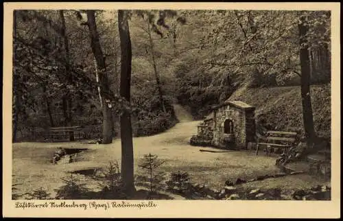 Ansichtskarte Stecklenburg Harz Radiumquelle 1942