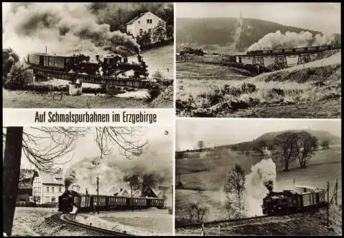 Oberwiesenthal Schmalspurbahnen im Erzgebirge: Streckewalde, Neudorf 1985