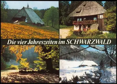 .Baden-Württemberg Die vier Jahreszeiten im SCHWARZWALD (Mehrbildkarte) 1980