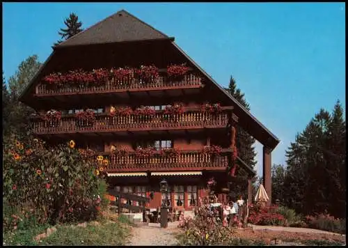 Ansichtskarte Hinterzarten Hotel Restaurant-Cafe Alemannenhof 1980