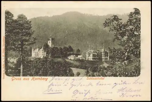 Ansichtskarte Hornberg Partie am Schloss-Hotel 1902   gel  Stempel HORNBERG