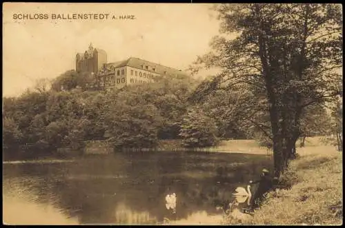 Ansichtskarte Ballenstedt (Harz) Schloss im Harz 1907