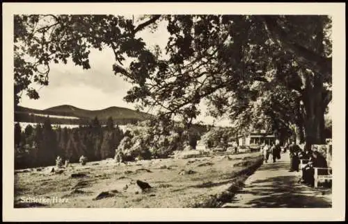 Ansichtskarte Schierke Panorama-Ortsansicht Ort im Harz zur DDR-Zeit 1953