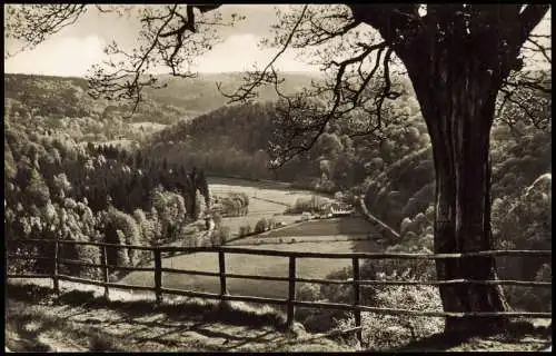 Ansichtskarte .Sachsen-Anhalt DDR AK Blick vom Meiseberg ins Selketal 1963