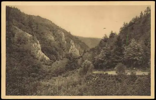 Ansichtskarte Bad Suderode Im kalten Tal 1910