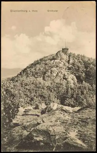 Ansichtskarte Blankenburg (Harz) Großvater 1910