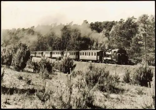 Dampflokomotive Schmalspurbahn Putbus - Göhren Zwischen Garftitz und Sellin 1978