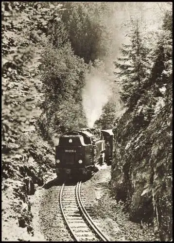 Harzquerbahn: Am Haltepunkt Tiefenbachmühle b Nordhausen 1982