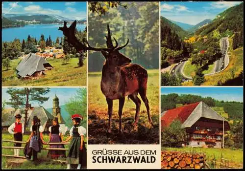 .Baden-Württemberg GRÜSSE AUS DEM SCHWARZWALD (Mehrbildkarte) 1970