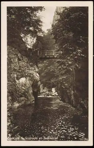 Ansichtskarte Thale (Harz) Teufelsbrücke -   1952   Bahnpoststempel Halberstadt