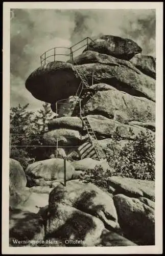 Ansichtskarte Wernigerode Fotokarte Ottofels 1954