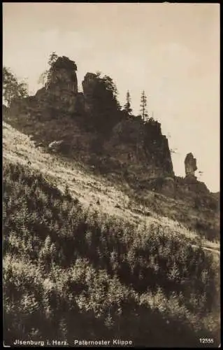 Ansichtskarte Ilsenburg (Harz) Paternoster Klippe - Fotokarte 1927