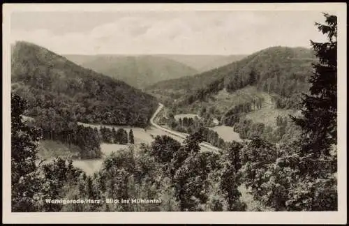 Ansichtskarte Wernigerode Umland-Ansicht Harz Blick ins Mühlental 1953