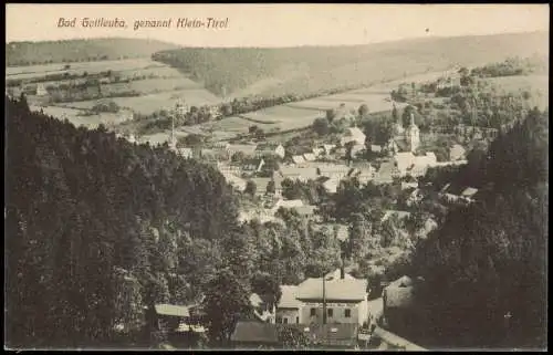 Bad Gottleuba-Bad Gottleuba-Berggießhübel Panorama-Ansicht "Klein-Tirol" 1918