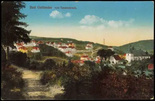 Ansichtskarte  Bad Gottleuba Berggießhübel Stadt - Tannenbusch 1932