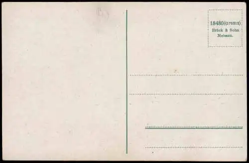 Ansichtskarte  Bad Gottleuba Berggießhübel Stadt - Tannenbusch 1932