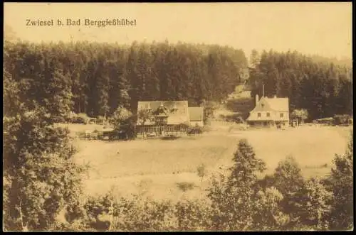 Zwiesel-Bad Gottleuba-Berggießhübel Häuser Partie am Waldrand 1923